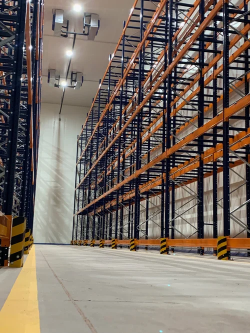 Racking selectivo en cámara de congelación